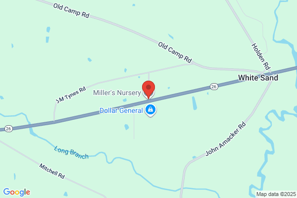 Miller's Nursery