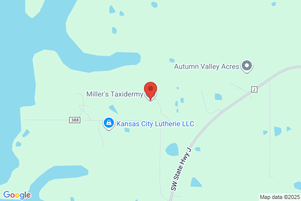 Millers Taxidermist