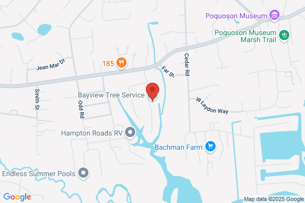 Bayview Tree Service