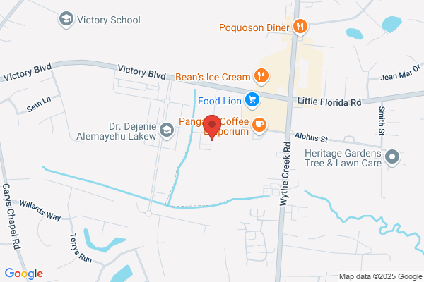 Poquoson City of, Treasurer