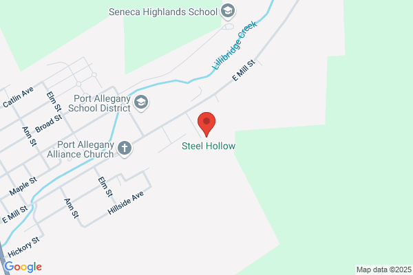 Port Allegany School District, Port Allegany Elementary School
