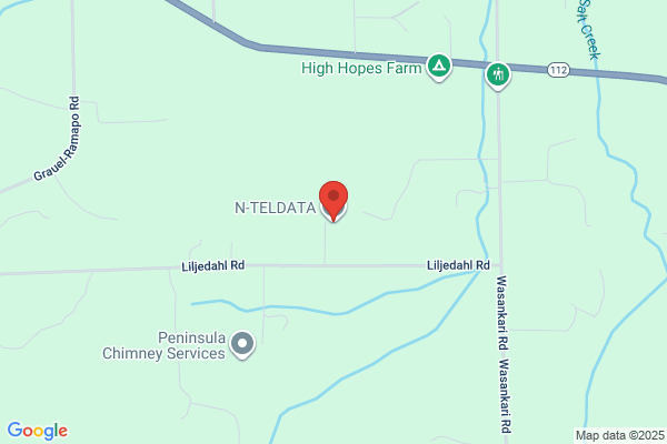 N Teldata