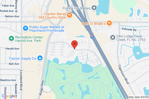 Port Charlotte Village Inc