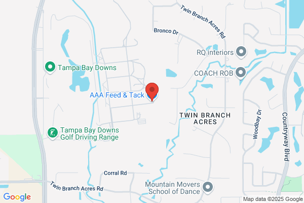 A A Pets & Feed Inc
