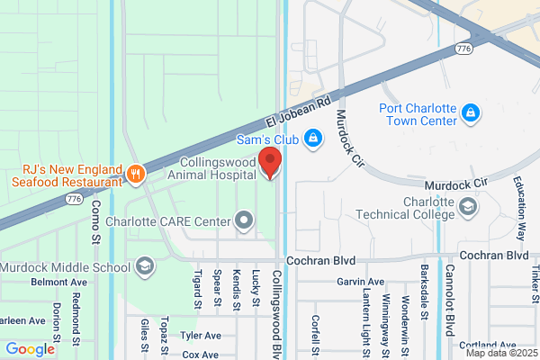 Animal Clinic Town Center