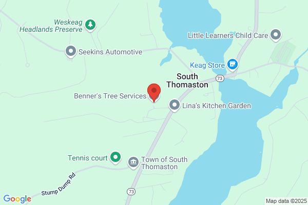 Benner's Tree Service