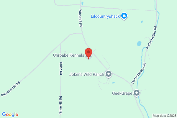 Uhrbabe Kennels