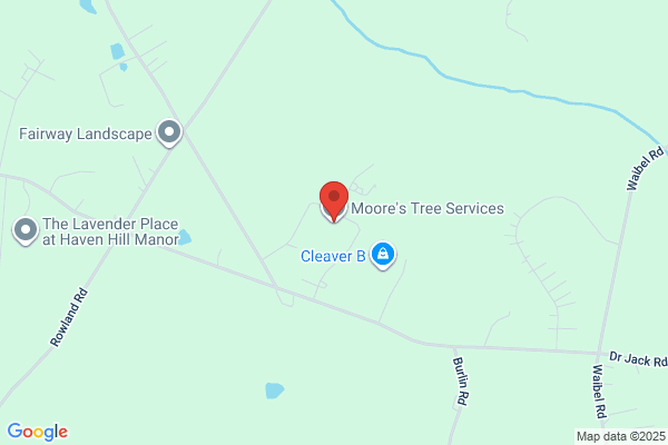 Moores Tree Service