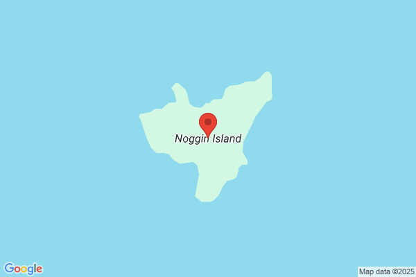 Nogginsland