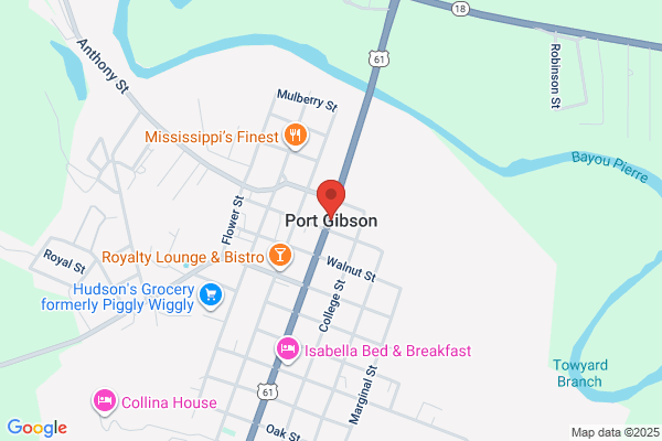 Port Gibson City of, Water Works System