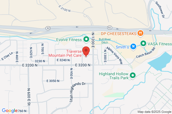 Frog Mountain Pet Care