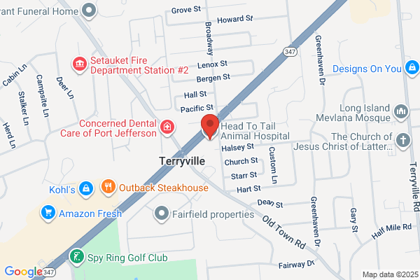 Selden Animal Hospital