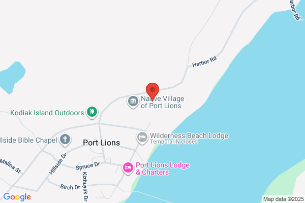 Port Lions Schools