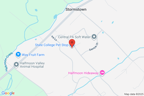Pet Stop of State College