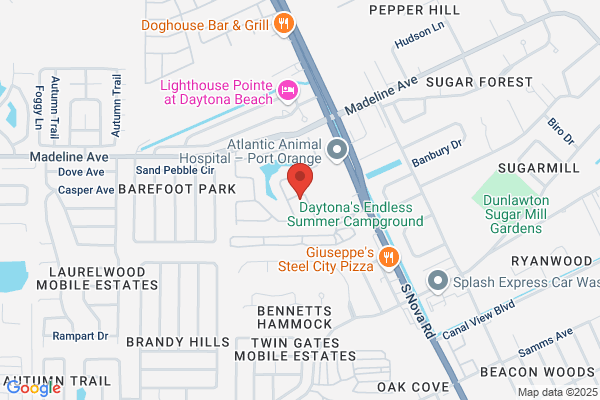 Port Orange Florist