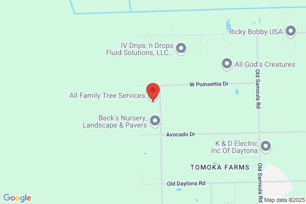 All Family Tree Service