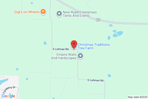 Christmas Traditions Tree Farm