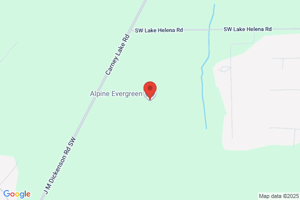 Alpine Evergreen Co Inc
