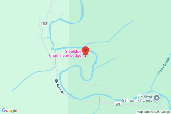 Steelblue Chameleon Lodge