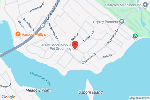 All Shore Pets Mobile Grooming