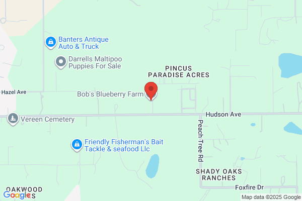Bob's Blueberry Farm