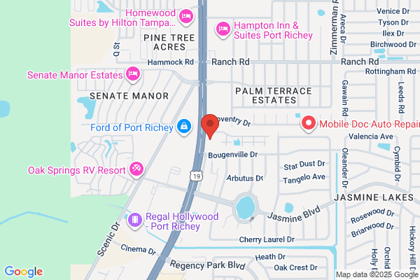 Advance Auto Parts