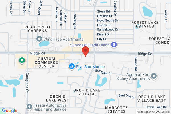 NAPA Auto Parts - Convex Auto LLC