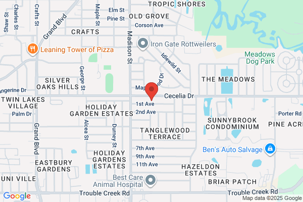 B L G Renovation Services