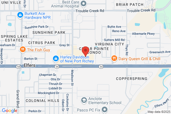 Pest Tactics Termite & Pest Control