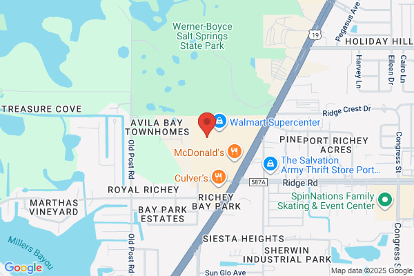 Essentials PetCare Veterinary Clinic - Port Richey, Florida