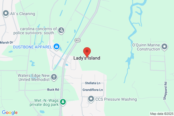 Lady's Island Shell