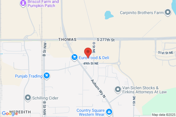 Wolfies Plumbing Inc