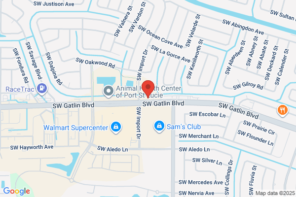 Palm Tree Insurance Agency