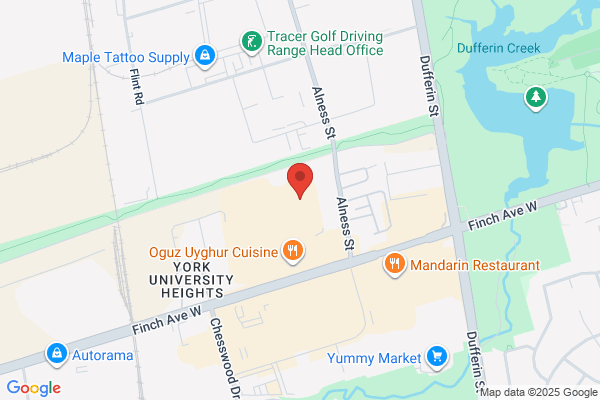 Willowdale Body & Fender Repair