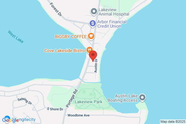 Advanced Access Systems Inc
