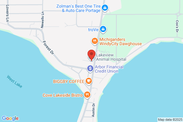 Lakeview Animal Hospital
