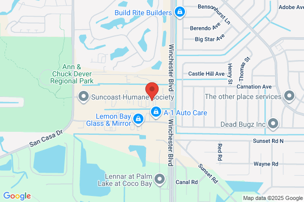 Steve's Auto Repair Llc