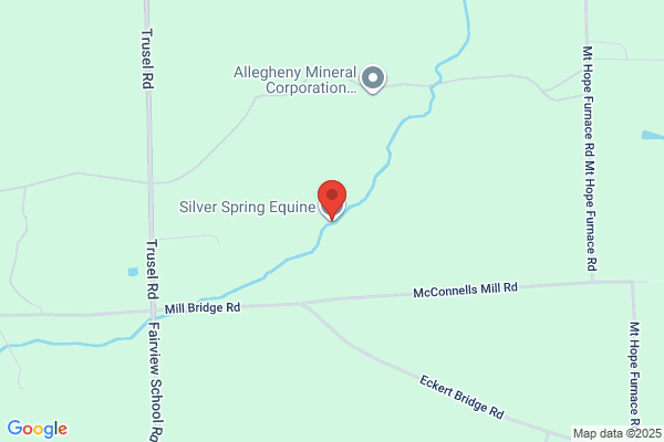 Silver Spring Equine