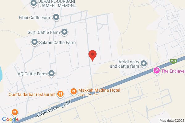 Noble Cattle Company