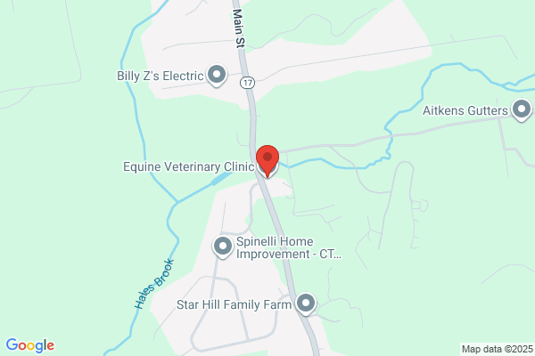 Equine Veterinary Clinic