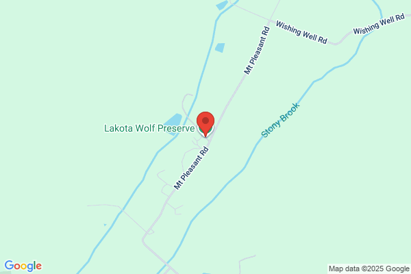 Lakota Wolf Preserve
