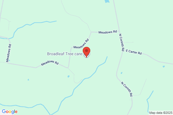 Broadleaf Tree Care