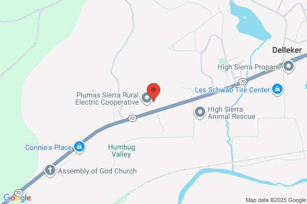 Plumas Sierra Telecommunications