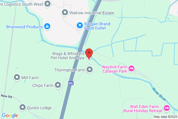 Wags To Whiskers Pet Resort