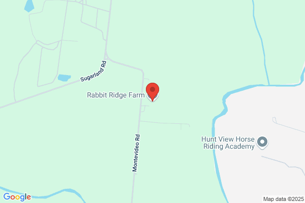 Rabbitts by Spring Hill Bunny Farm