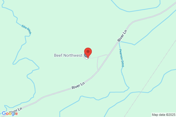 Wilson Scotch Mountain Angus