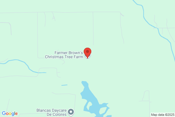 Farmer Brown's Christmas Trees