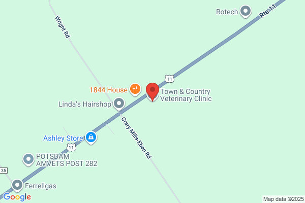 Potsdam Animal Hospital