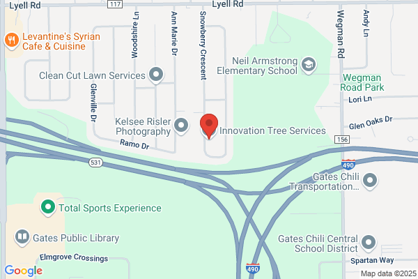Innovation Tree Service