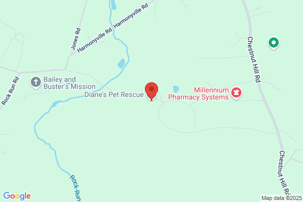 Diane's Discount Pet Supplies & Adoption Center